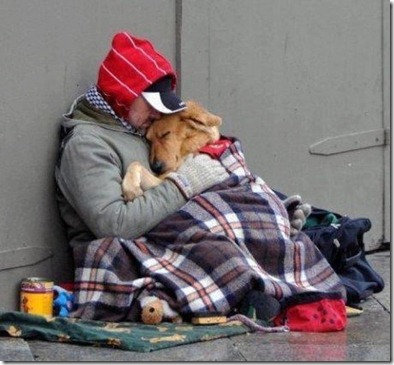 522675_250067231758312_100002651121661_474575_591497330_n